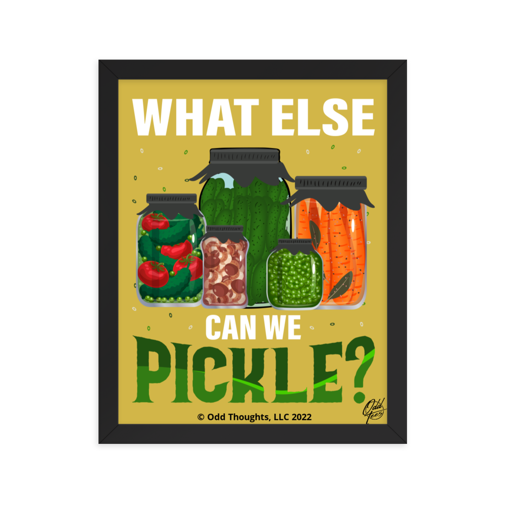 What Else Can We Pickle?